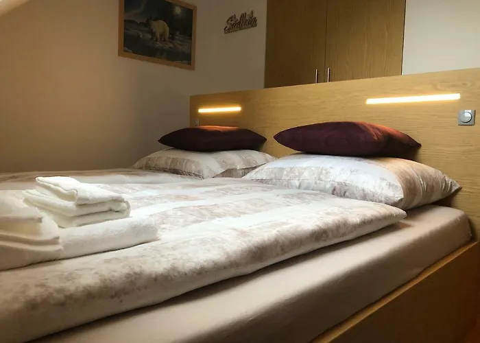 公寓 Megi 克拉尼斯卡戈拉